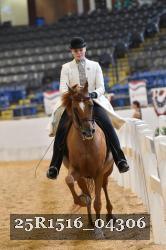 25R1516_04306 thumbnail