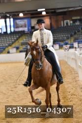 25R1516_04307 thumbnail