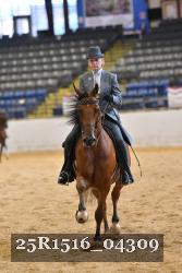 25R1516_04309 thumbnail