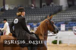 25R1516_04311 thumbnail