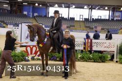25R1516_04313 thumbnail