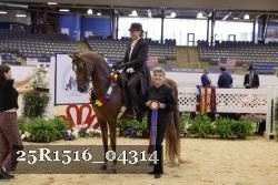 25R1516_04314 thumbnail
