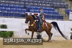 25R1516_04325 thumbnail