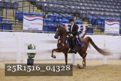 25R1516_04328 thumbnail