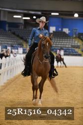 25R1516_04342 thumbnail