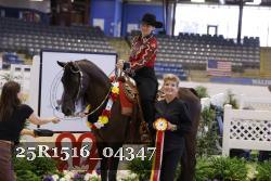 25R1516_04347 thumbnail