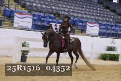 25R1516_04352 thumbnail