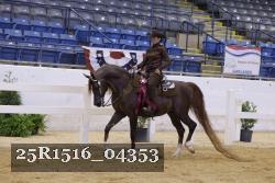 25R1516_04353 thumbnail