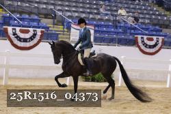 25R1516_04373 thumbnail