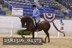 25R1516_04375 thumbnail