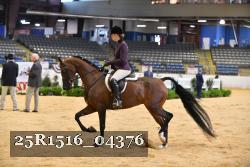 25R1516_04376 thumbnail