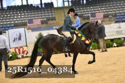 25R1516_04384 thumbnail