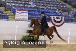 25R1516_04400 thumbnail