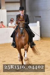 25R1516_04402 thumbnail