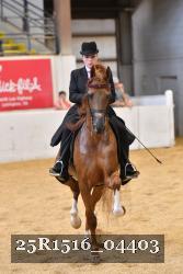 25R1516_04403 thumbnail