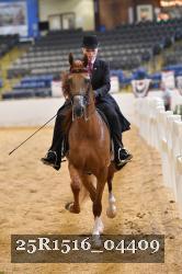 25R1516_04409 thumbnail
