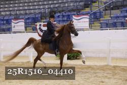 25R1516_04410 thumbnail