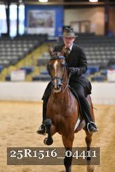 25R1516_04411 thumbnail