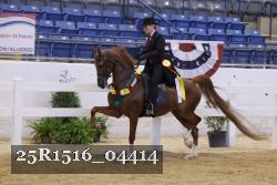 25R1516_04414 thumbnail