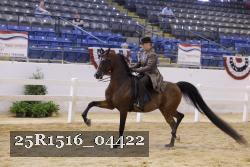 25R1516_04422 thumbnail