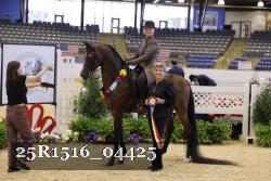 25R1516_04425 thumbnail
