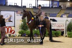 25R1516_04426 thumbnail