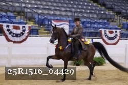 25R1516_04429 thumbnail