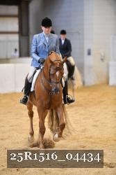 25R1516_04434 thumbnail
