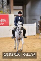 25R1516_04435 thumbnail