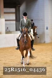 25R1516_04436 thumbnail