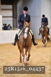 25R1516_04437 thumbnail