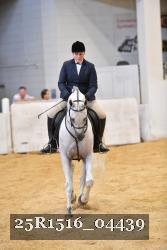25R1516_04439 thumbnail