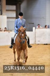 25R1516_04440 thumbnail