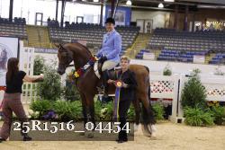 25R1516_04454 thumbnail
