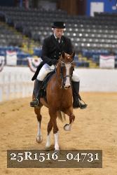25R1516_04731 thumbnail