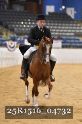25R1516_04732 thumbnail