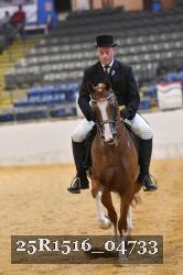25R1516_04733 thumbnail