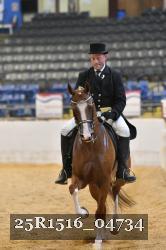 25R1516_04734 thumbnail