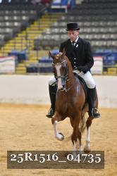 25R1516_04735 thumbnail
