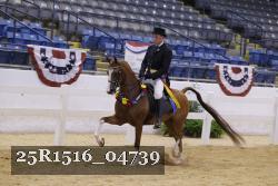 25R1516_04739 thumbnail