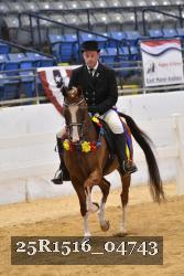 25R1516_04743 thumbnail