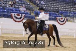 25R1516_04481 thumbnail
