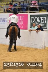 25R1516_04494 thumbnail