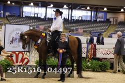25R1516_04497 thumbnail