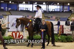 25R1516_04498 thumbnail