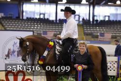 25R1516_04499 thumbnail