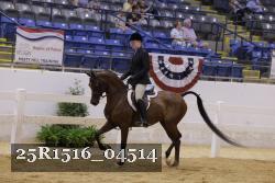 25R1516_04514 thumbnail