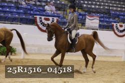 25R1516_04518 thumbnail