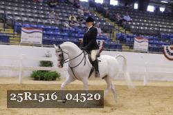25R1516_04520 thumbnail