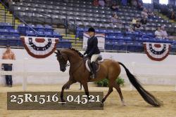 25R1516_04521 thumbnail